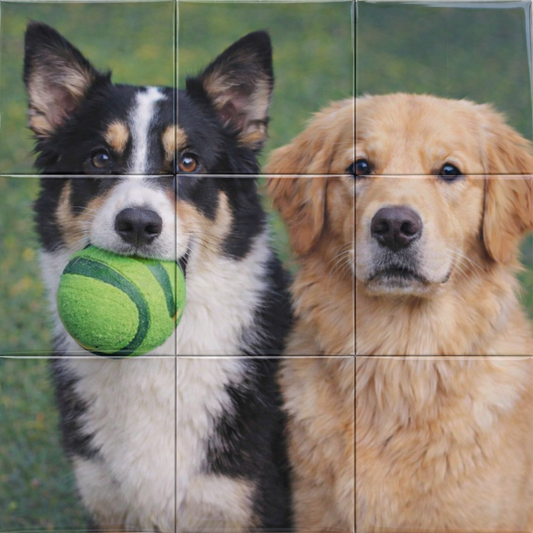 Puzzle Photo Magnets