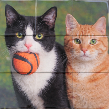 Puzzle Photo Magnets