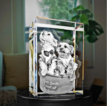 3D Crystal Rectangle Portrait